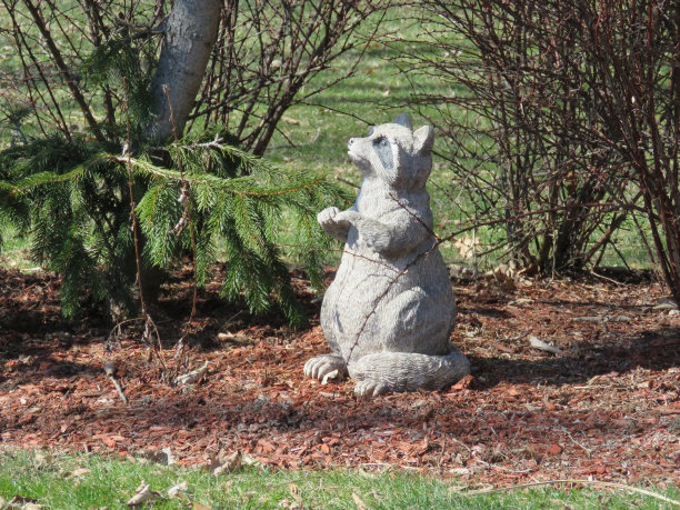 塑料浣熊草坪艺术在一个花床图片下载