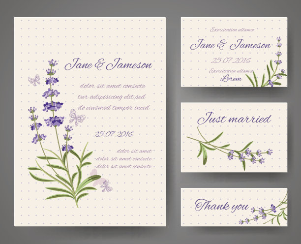 矢量模板与薰衣草束图片下载