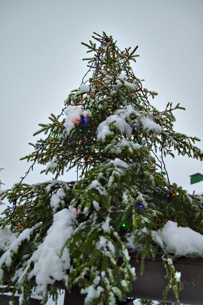 罗凡尼米的圣诞节图片下载