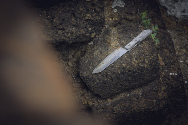 失去的剑图片下载