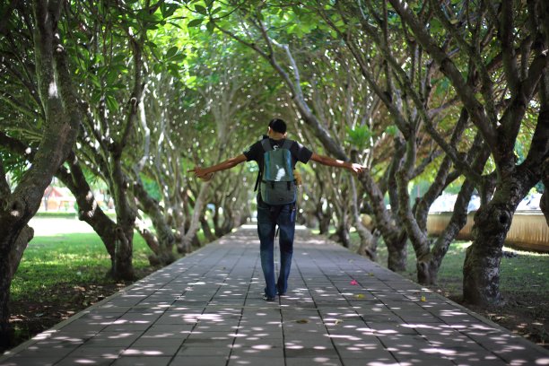 人走在鸡蛋花隧道的通道上图片下载