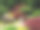 照片夏季背景园林观赏性景观设计图片下载
