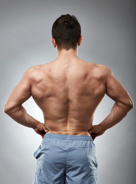 健美模特回归灰色图片下载