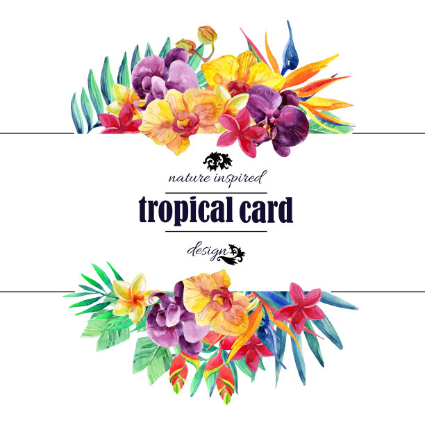 热带花卉卡在水彩画图片下载