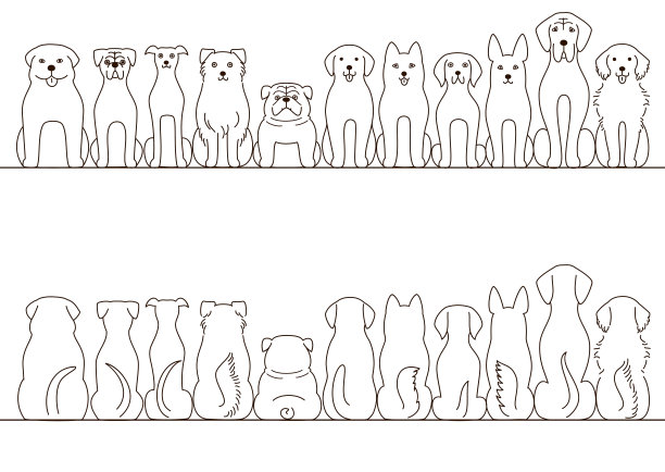 大狗边界设置，前视图和后视图，线艺术图片下载