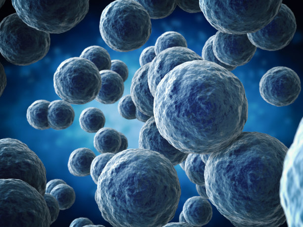 细菌细胞具有粗糙的结构素材图片