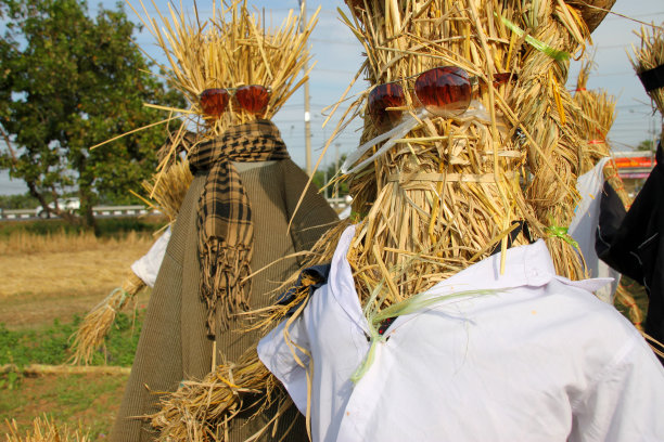 稻草人图片下载