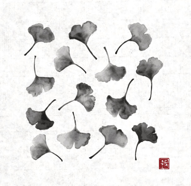 银杏叶在陈年宣纸背景上图片下载