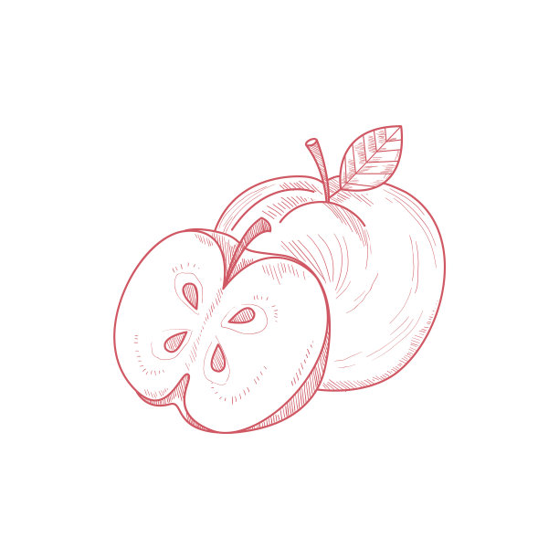 新鲜苹果手绘素描图片下载