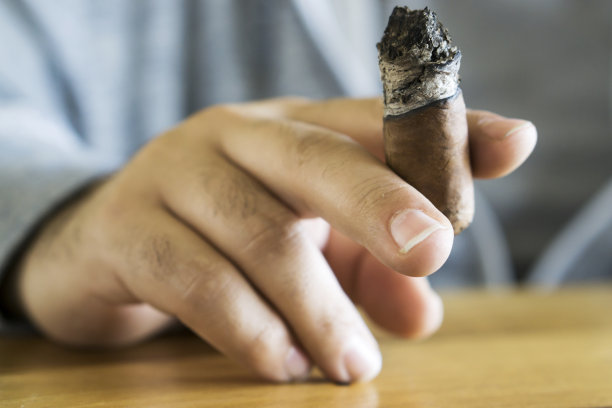 拿着雪茄的男人图片下载