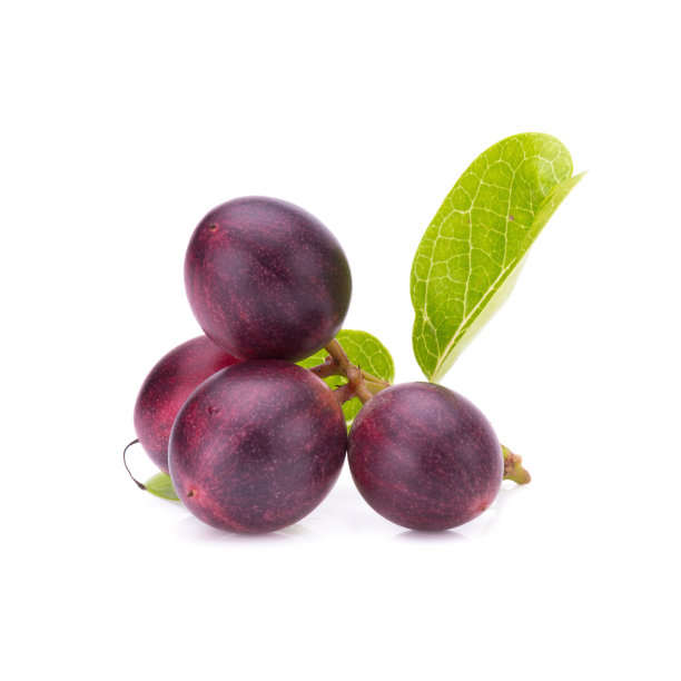 卡隆达或卡隆达在白色背景图片下载