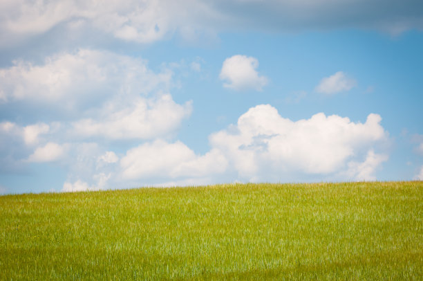 蓝天背景下的田野图片下载