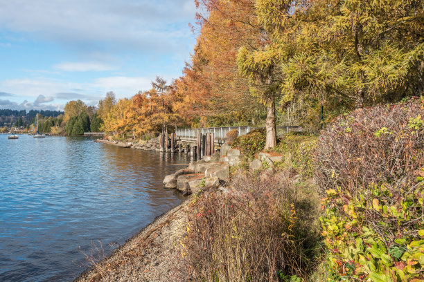 秋天的库伦公园4图片下载