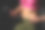近距离的女人瘦骨嶙峋的肚子图片下载