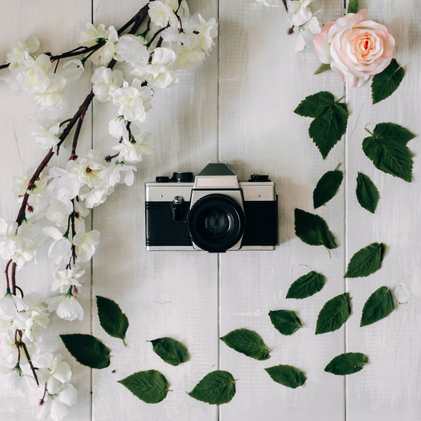 老式胶片相机，白色木质背景。俯视图，平放图片下载