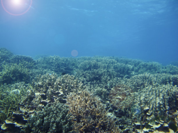 在水下模糊的背景图片下载