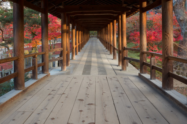 秋天的花园图片下载