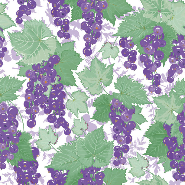 向量贝瑞模式。背景与醋栗。橙灰色图片下载