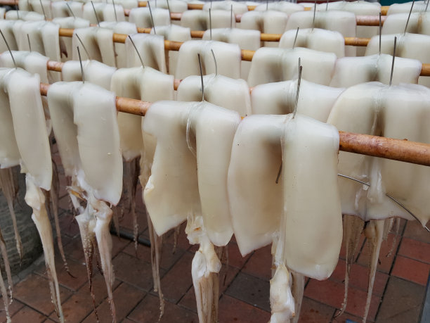 鱿鱼干图片下载