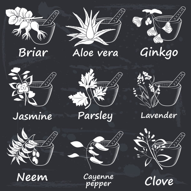 阿育吠陀药草集图片下载