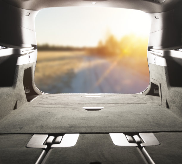 从树干上看。乡村的一个阳光明媚的日子。图片下载