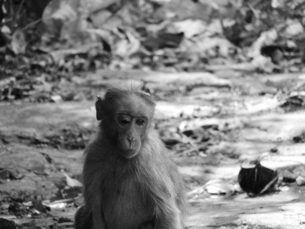 微弱的情绪图片下载