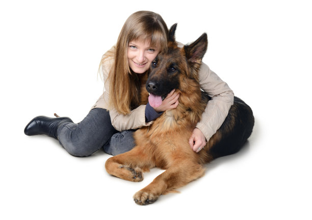 年轻女子拥抱美丽的毛茸茸的德国牧羊犬的白色图片下载