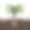 种植韭菜和堆肥图片下载