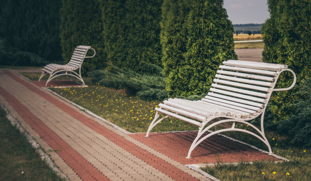 夏日花园里的长凳图片下载