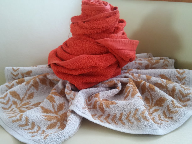 毛巾玫瑰图片下载