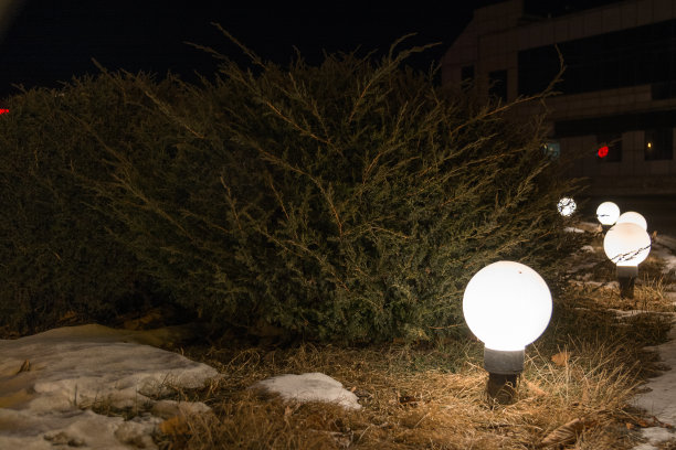 圆灯照亮的冬季花坛夜景。图片下载
