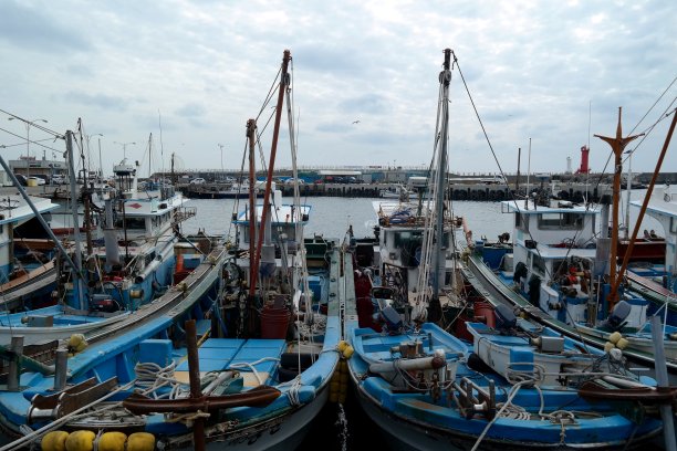 济州摹瑟浦港口的渔船- Fishingboat of Jeju Port图片下载