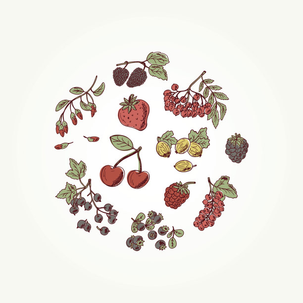 向量集合涂鸦浆果图片下载