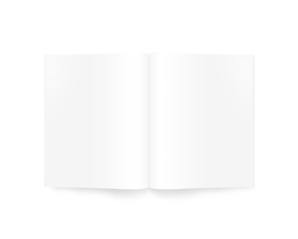 打开空白弹匣模型孤立在白色上。图片下载