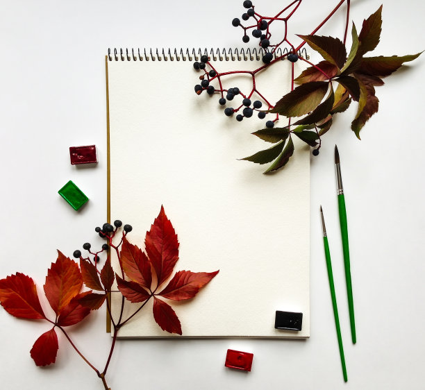 相册，水彩画，画笔，用树叶和浆果装饰。平躺图片下载