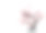 美しい桜の木图片下载