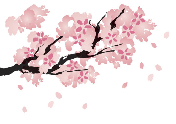 美しい桜の木图片下载