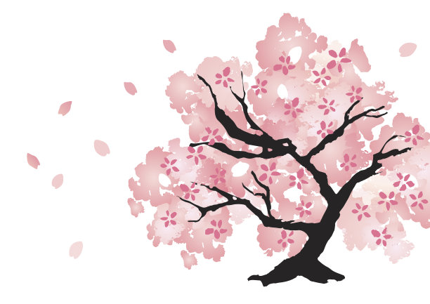 美しい桜の木图片下载