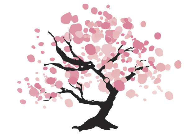 美しい桜の木图片下载