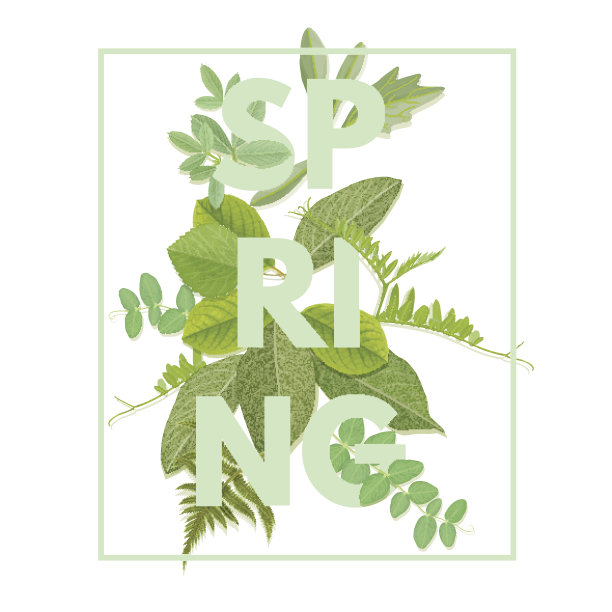 春天的落叶信图片下载