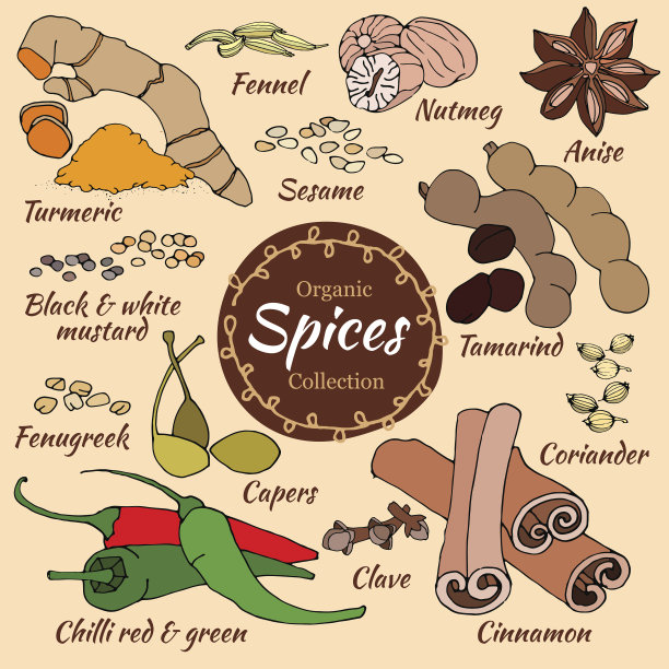 矢量香料收集图片下载
