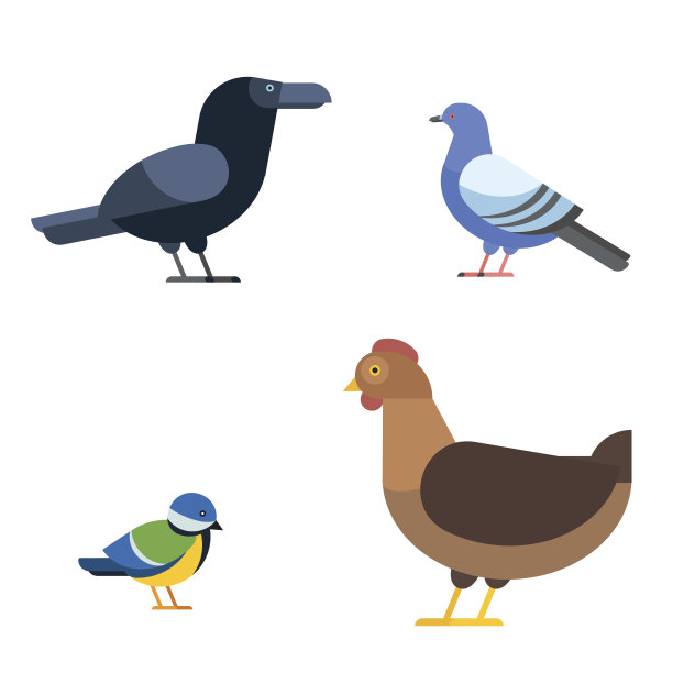 鸟类矢量集插图孤立图片下载