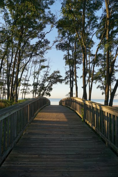 太阳升起时海滩上的木板路图片下载