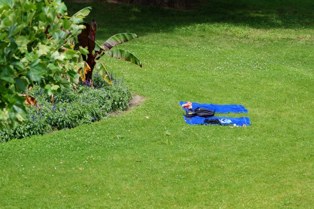 草地上的沙滩毛巾图片下载