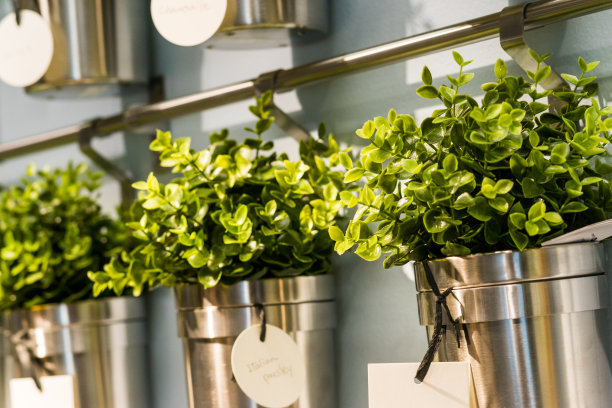 墙上挂着绿色的花盆素材图片