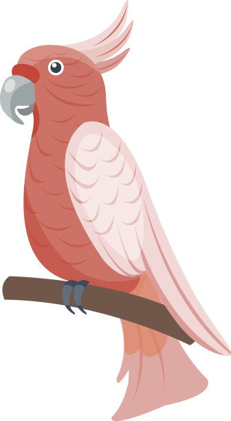 卡通鹦鹉载体鸟图片下载