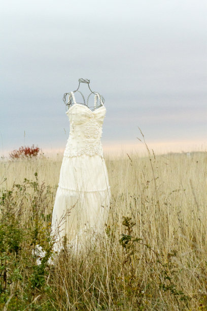 婚纱在田野里图片下载