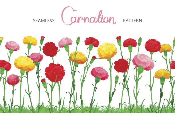 花无缝的边界图片下载