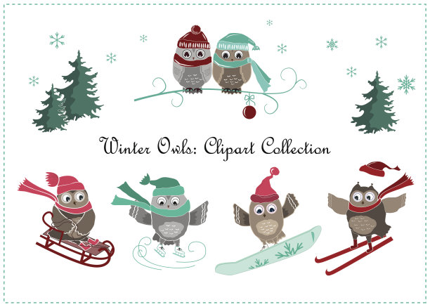 可爱的冬猫头鹰横幅。幼鸟和运动图片下载