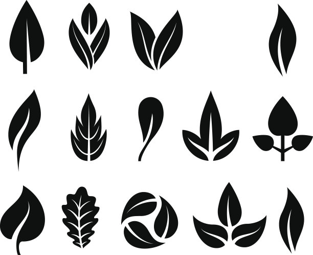 叶子图标矢量插图。图片下载